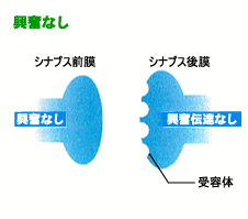 機作とは   weblio辞書