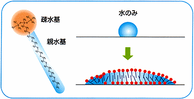 まくぴか