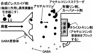 中毒 有機 症状 リン 有機リン剤中毒