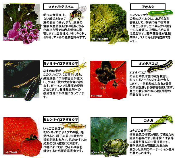 スピノエース顆粒水和剤